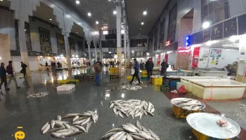 بازار الگویی ماهی فروشان ایران رشت