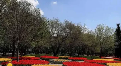 پارک بانوان ریحانه مشهد