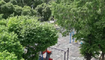 فضای سبز زیبای پارک شقایق نارمک