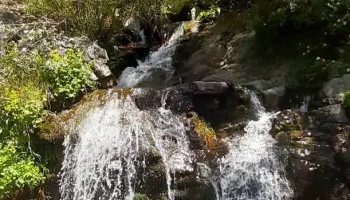 آبشار تالون