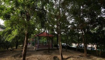 پارک جنگلی صائب تبریزی